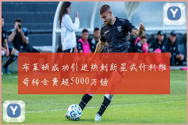布莱顿成功引进热刺新星武什科维奇转会费超5000万镑