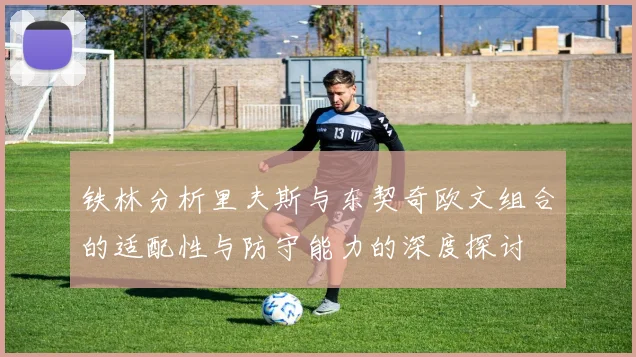 铁林分析里夫斯与东契奇欧文组合的适配性与防守能力的深度探讨
