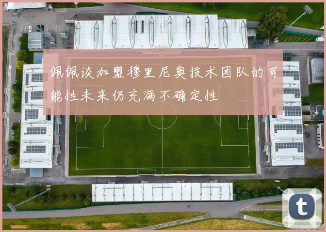佩佩谈加盟穆里尼奥技术团队的可能性未来仍充满不确定性